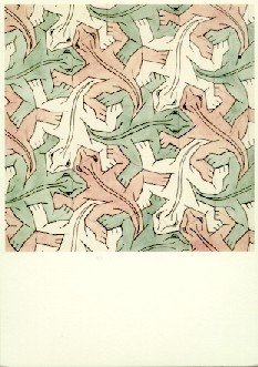 Lizards; Symmetry Drawing 25