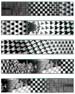 Metamorphose II