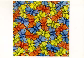 Symmetry E70; Butterflies